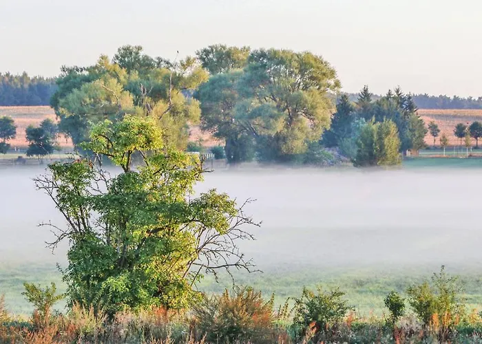 بيت للعطل Onkel Toms Huette *